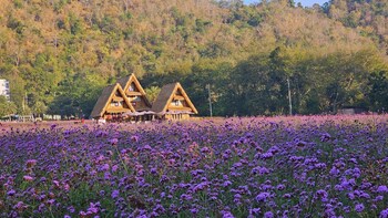 baan rai somkiat homestay