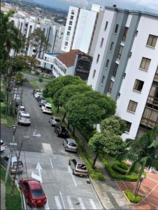 pereira