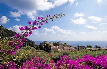 sina flora capri