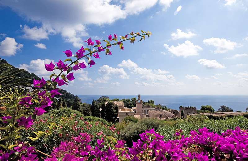 sina flora capri