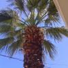 crete island