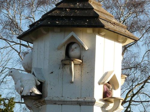 saffron walden