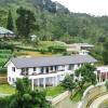 benito bungalow by the serendipity collection