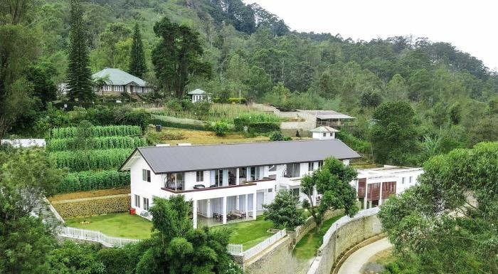 benito bungalow by the serendipity collection