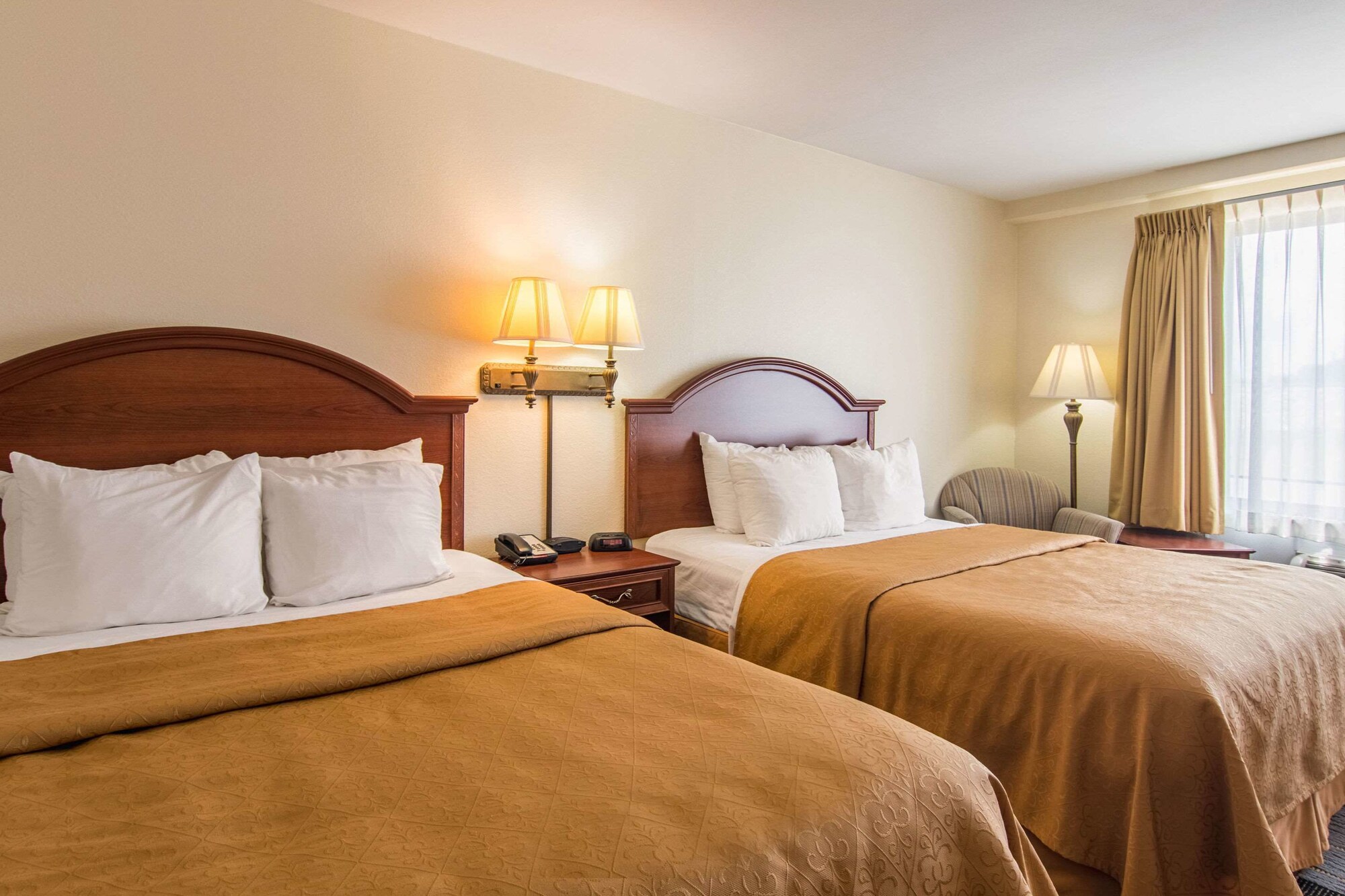 quality inn
