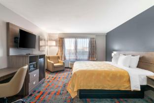 quality inn