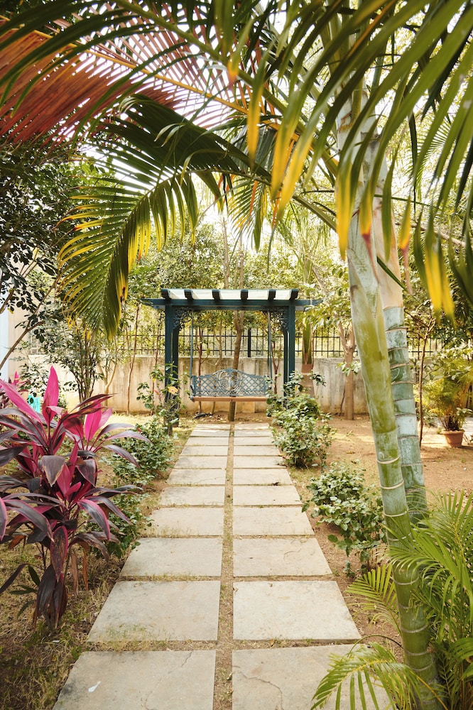 bliss farm stay lilly