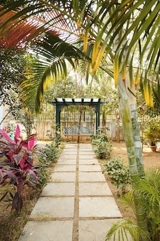 bliss farm stay lilly