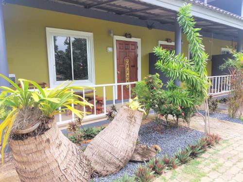 blue palm kata resort