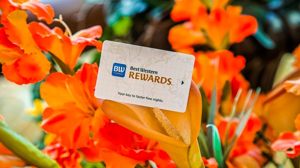 best western plus swiss chalet hotel and suites