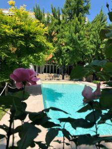 hotel milano pool and garden