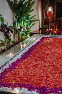 three brothers bungalows and villas