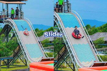 buffalo island resort