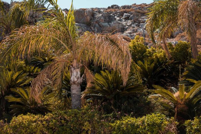 lambis studios and apartments