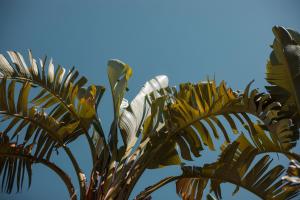 lambis studios and apartments