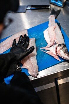 markopoulo mesogaias