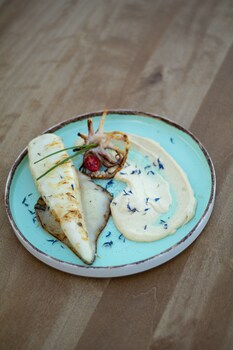 markopoulo mesogaias