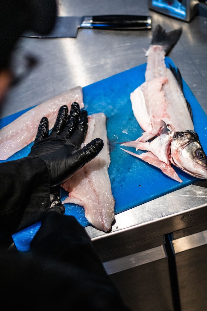 markopoulo mesogaias