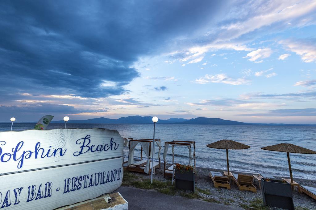 dolphin resort hotel and conference