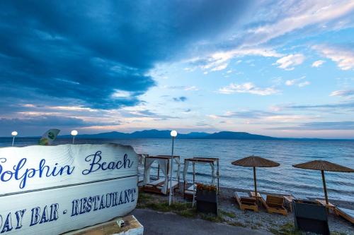 dolphin resort hotel and conference