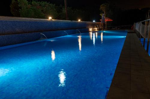 dolphin resort hotel and conference