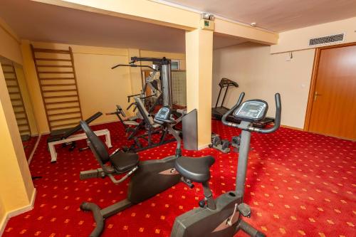 dolphin resort hotel and conference