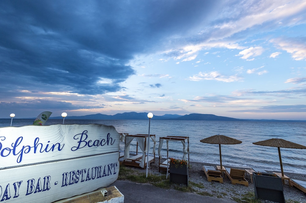 dolphin resort hotel and conference
