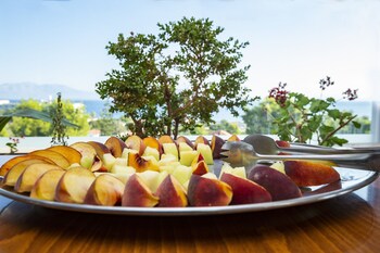 dolphin resort hotel and conference