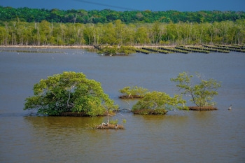 casa del mar al alma
