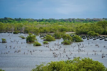 casa del mar al alma