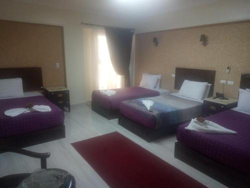 amin hotel