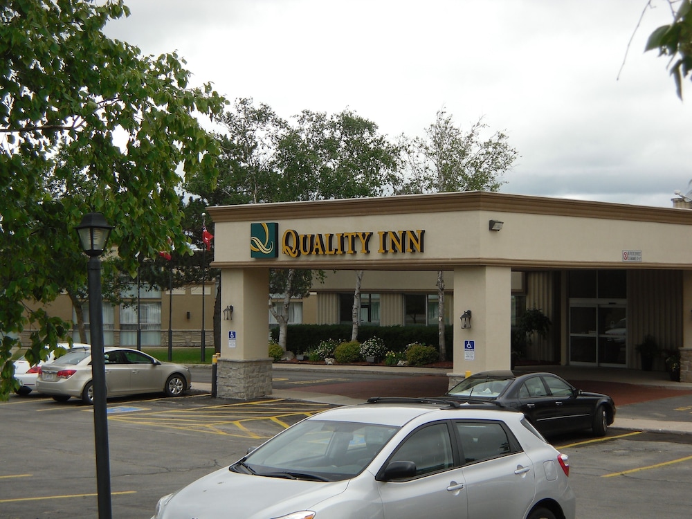 quality inn