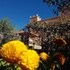 auberge restaurant le safran taliouine