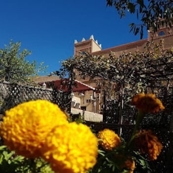 auberge restaurant le safran taliouine