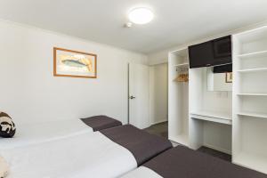 paihia