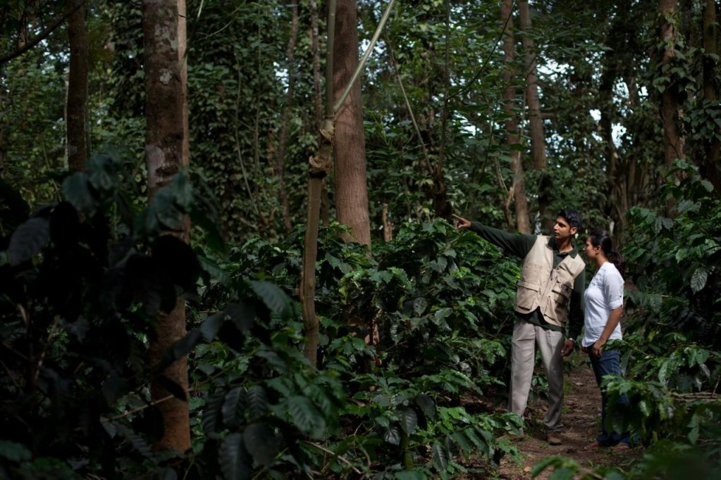 the serai chikmagalur