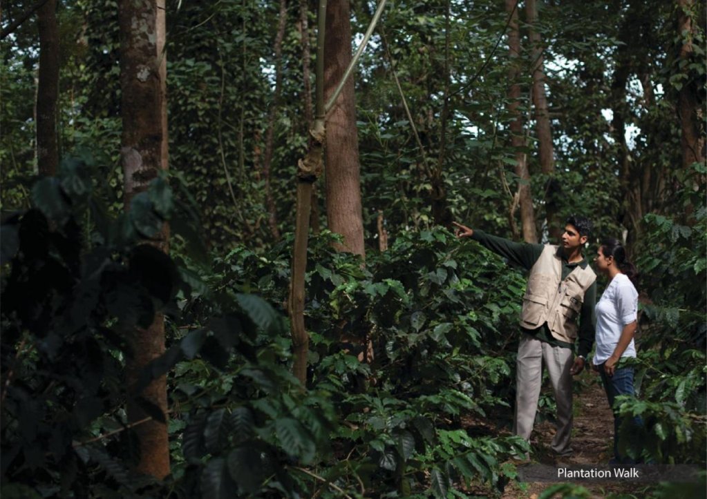 the serai chikmagalur