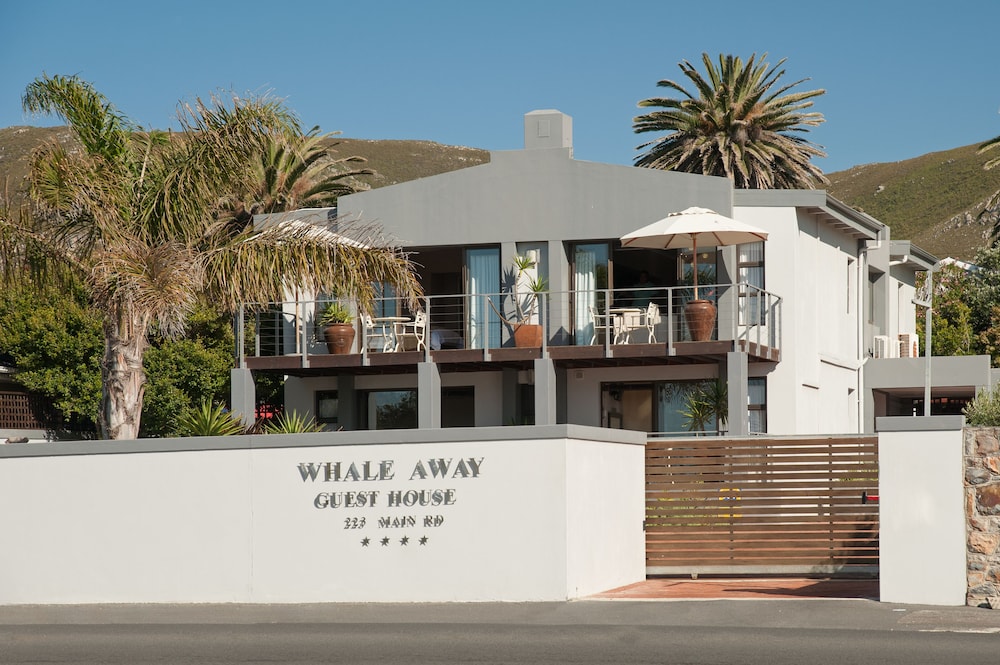 whale away guest house adults only