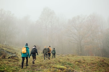 Wallby Sateri,Vetlanda>>Skiro,4 star