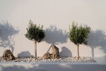 castello amorgos suites