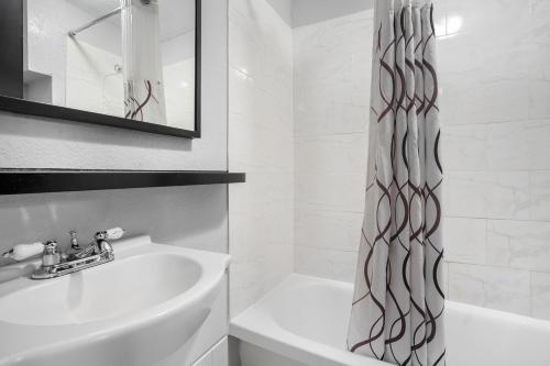 avalon hotel downtown st petersburg