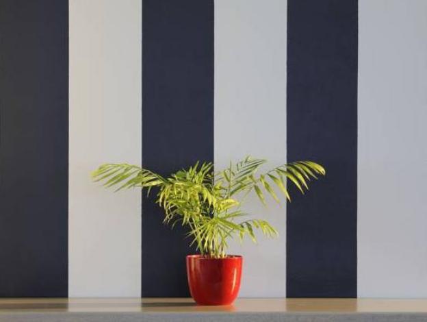 oyster box guesthouse