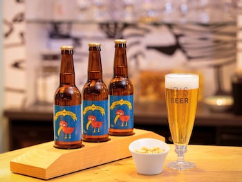 ibis antwerpen centrum