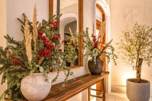 coeo apart hotel fresca