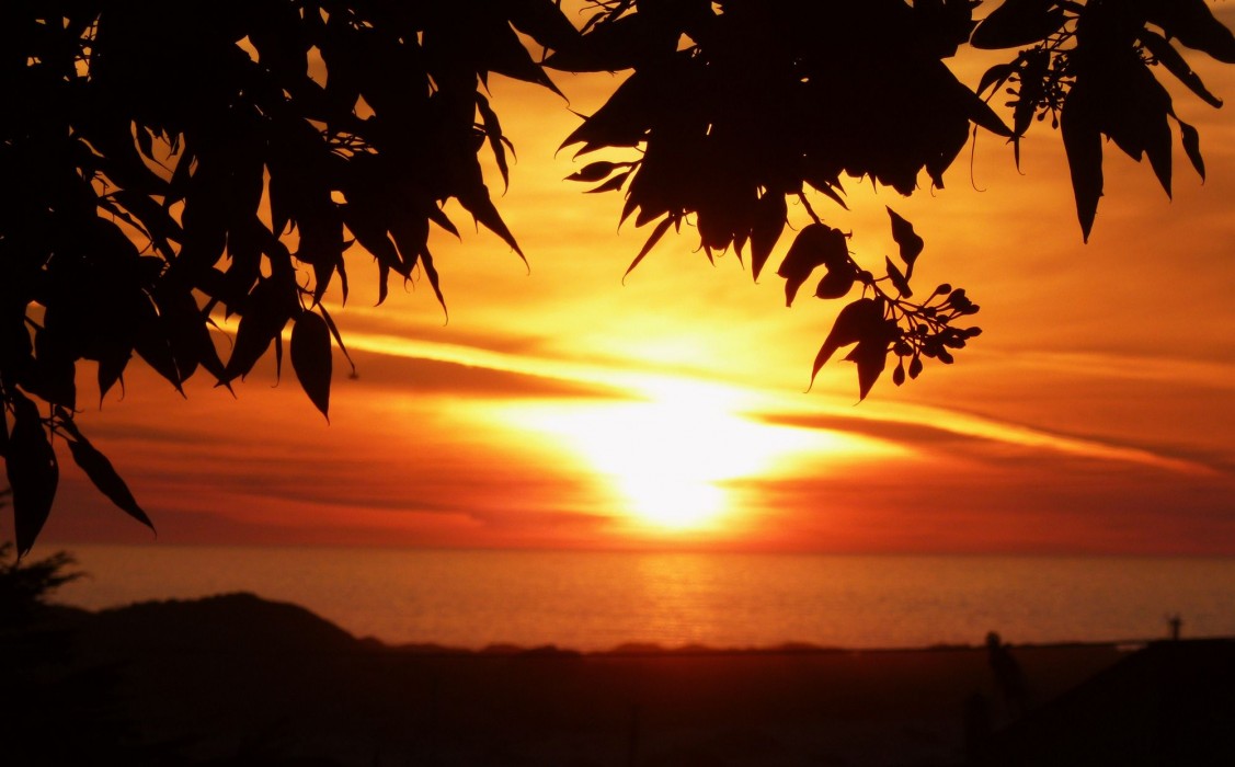 morro bay sandpiper inn