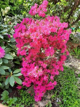 hotel le manoir de la barbacane