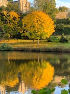 hotel le manoir de la barbacane