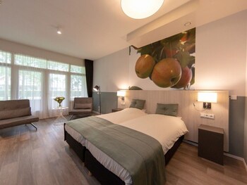 hotel and restaurant van saaze
