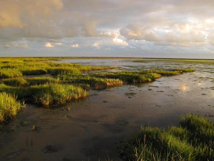 hotel waddengenot