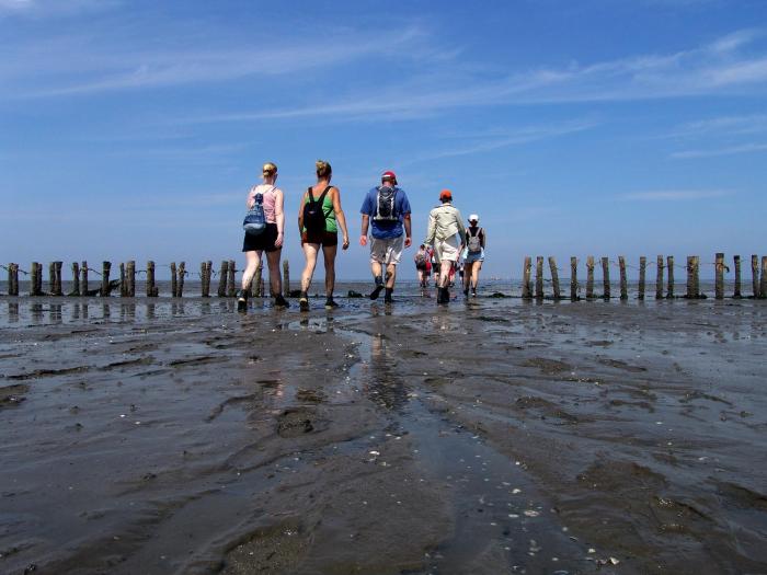 hotel waddengenot